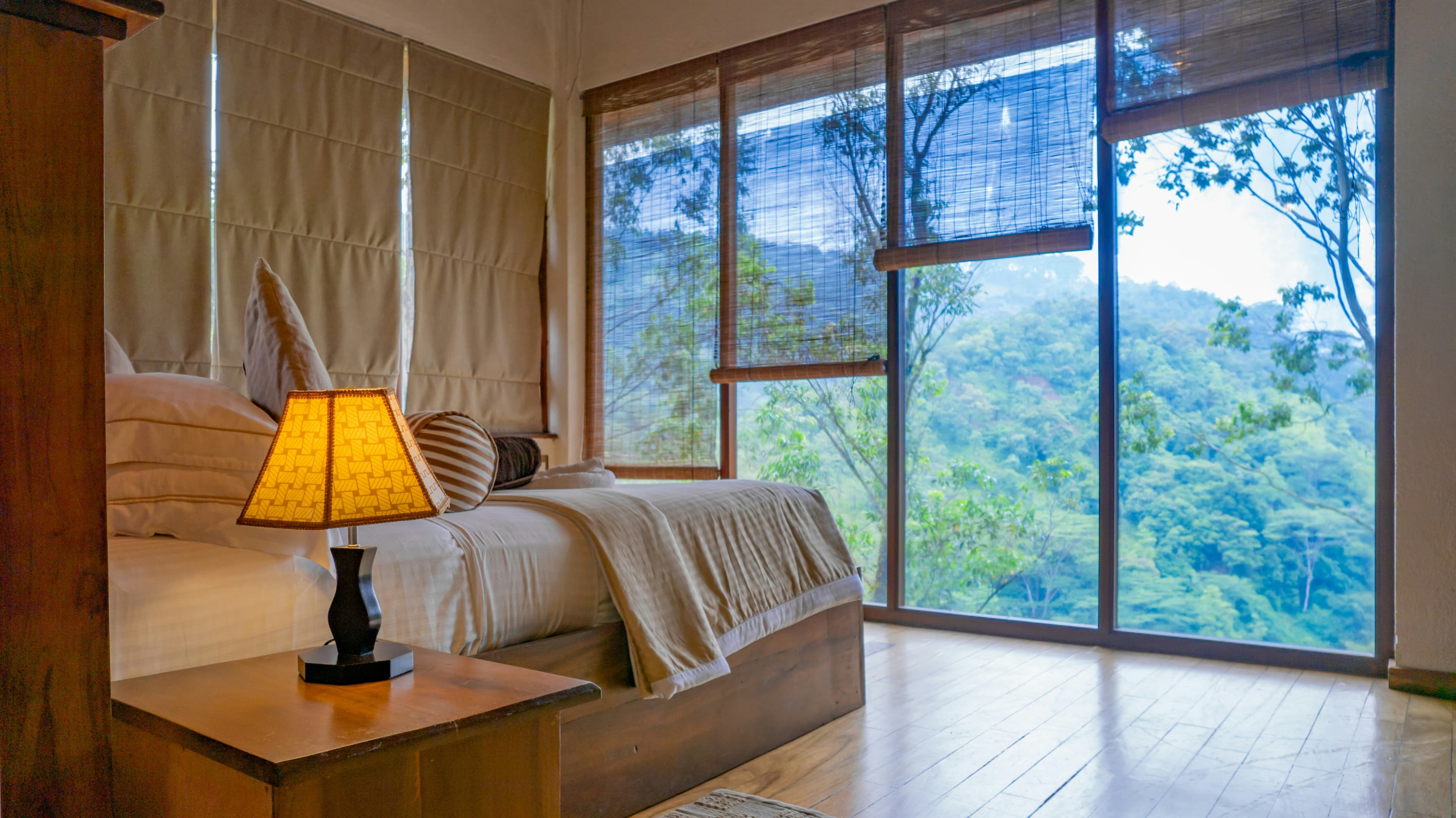 A refined Sri Lankan interior overlooking tropical forest